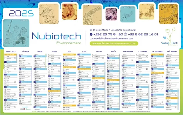 Calendriers à personnaliser à 100% N°21 – 12 mois sur une face