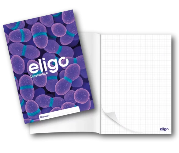 Bloc notes avec couverture publicitaire avec logo et images